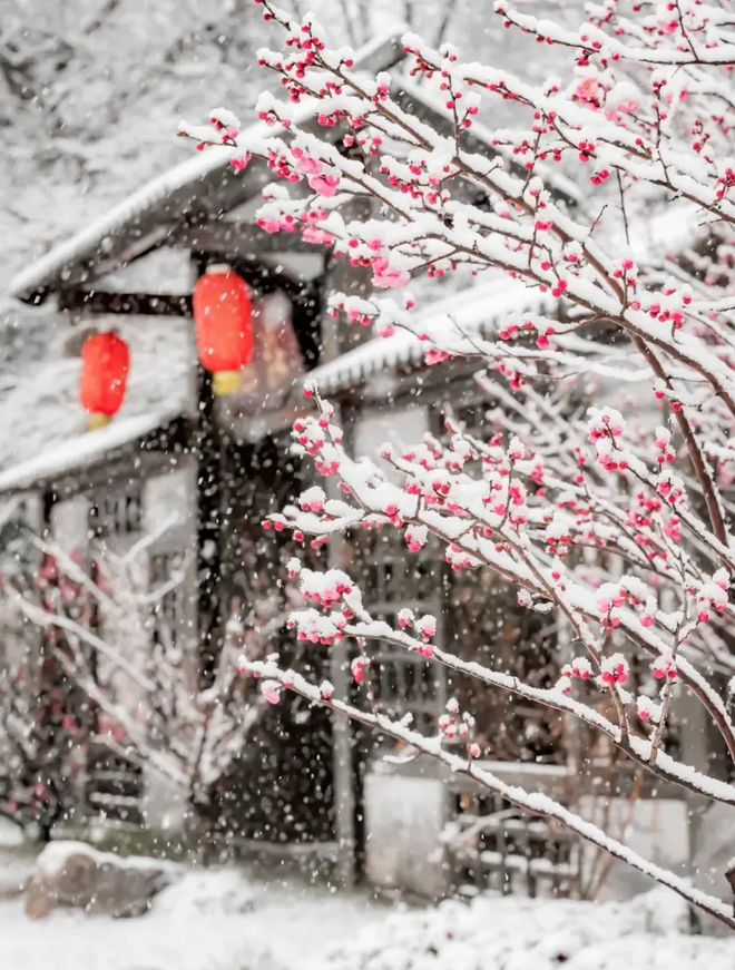 香水、身体炸划算还有节日限定香薰、香包PG麻将胡了试玩平台香香好物丨欧珑正装(图23)