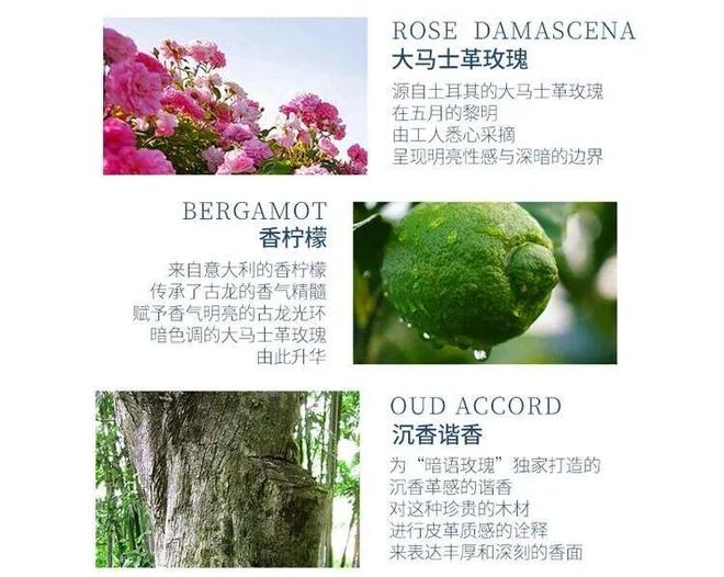 香水、身体炸划算还有节日限定香薰、香包PG麻将胡了试玩平台香香好物丨欧珑正装(图28)